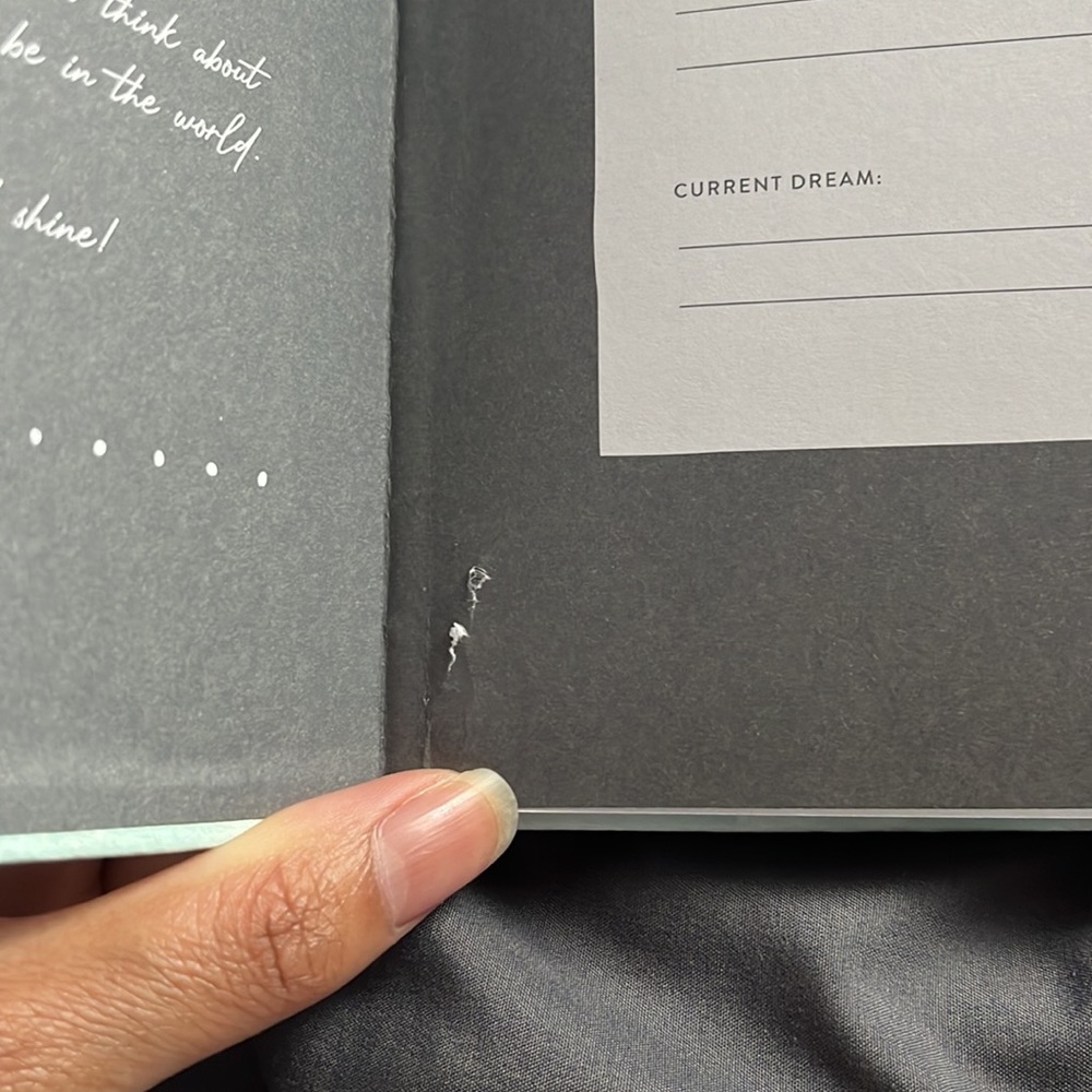 Daily Journal - Picture 3 of 4